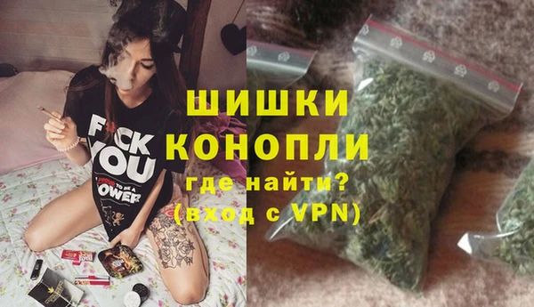 сатива Богородск