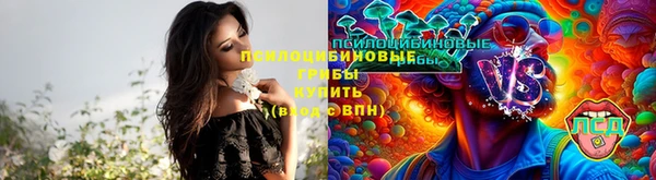 сатива Богородск
