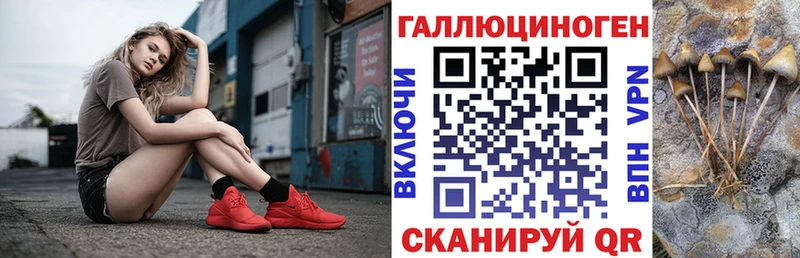 Купить закладки  Котельниково  Псилоцибиновые грибы MAGIC MUSHROOMS 